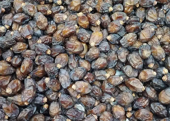 خواص خرما خشک زاهدی