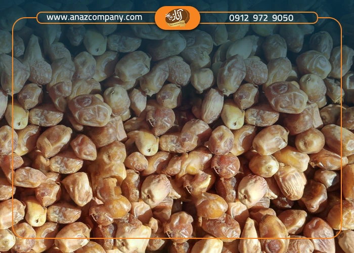 خرمای زاهدی صادراتی